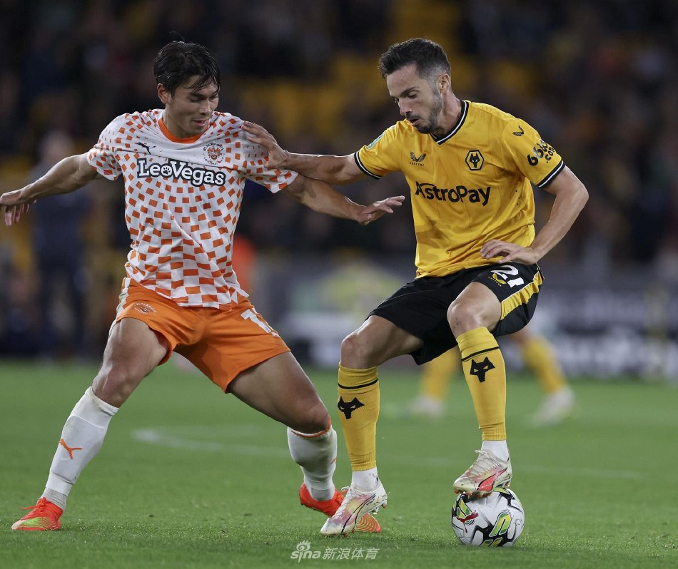 为初学者提 为初学者提